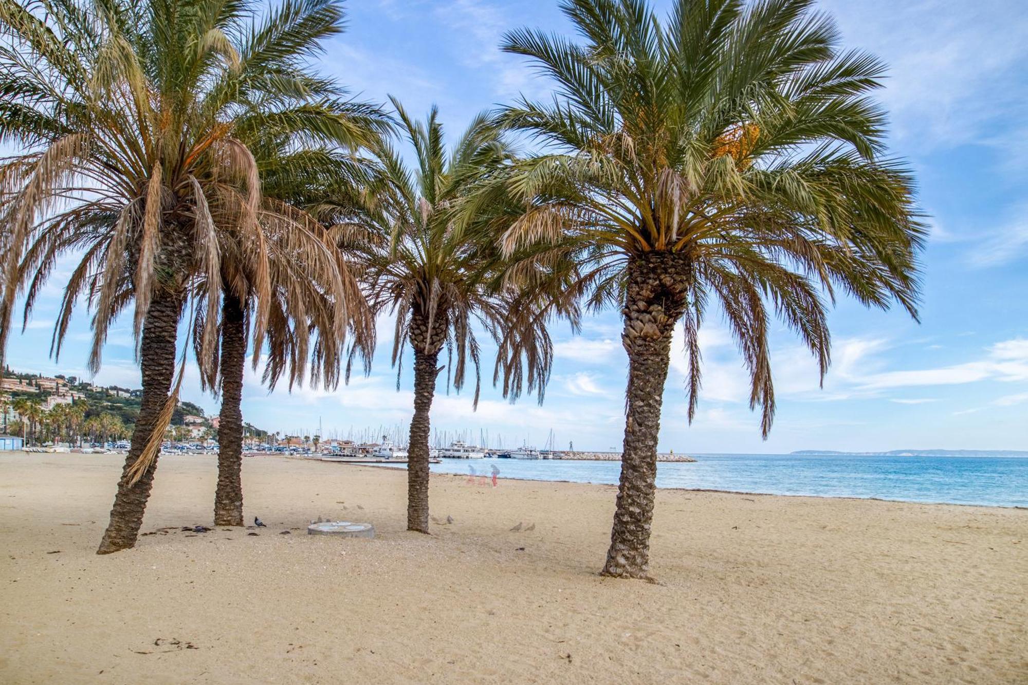 Nouvelle Ere - Appt A Moins D'Un Km De La Plage Le Lavandou Luaran gambar